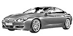 BMW F06 P1E19 Fault Code