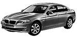BMW F10 P1E19 Fault Code