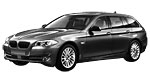BMW F11 P1E19 Fault Code